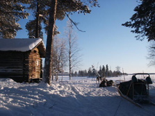 Nordeuropa, Finnland, Schweden, Lappland-Expeditionen - Lappland bei sonnigem Wetter