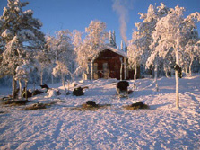 Nordeuropa, Finnland, Schweden, Lappland-Expeditionen - Verschneite Hütte